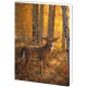JOURNAL White Tailed Deer